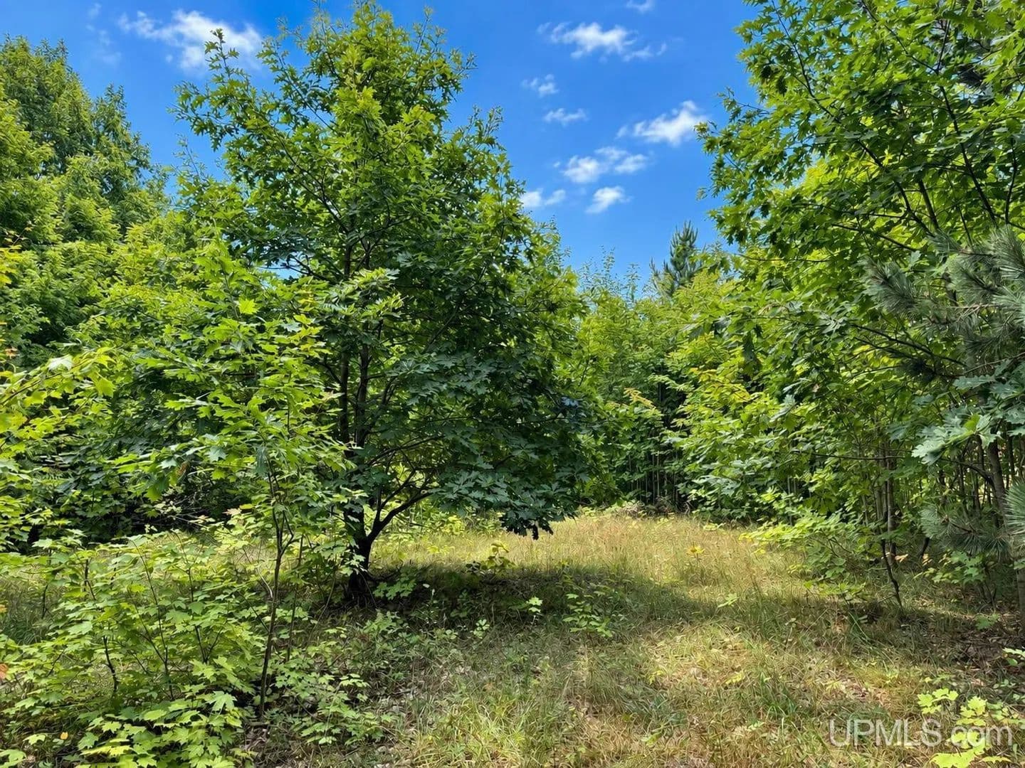 Vacant Land in Atlantic Mine - Atlantic Mine, Michigan, 49905