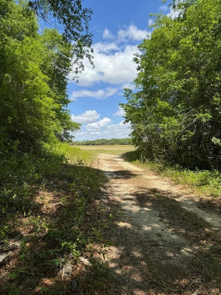 Lots & Land-Other in Donalsonville - Donalsonville, Georgia, 39845