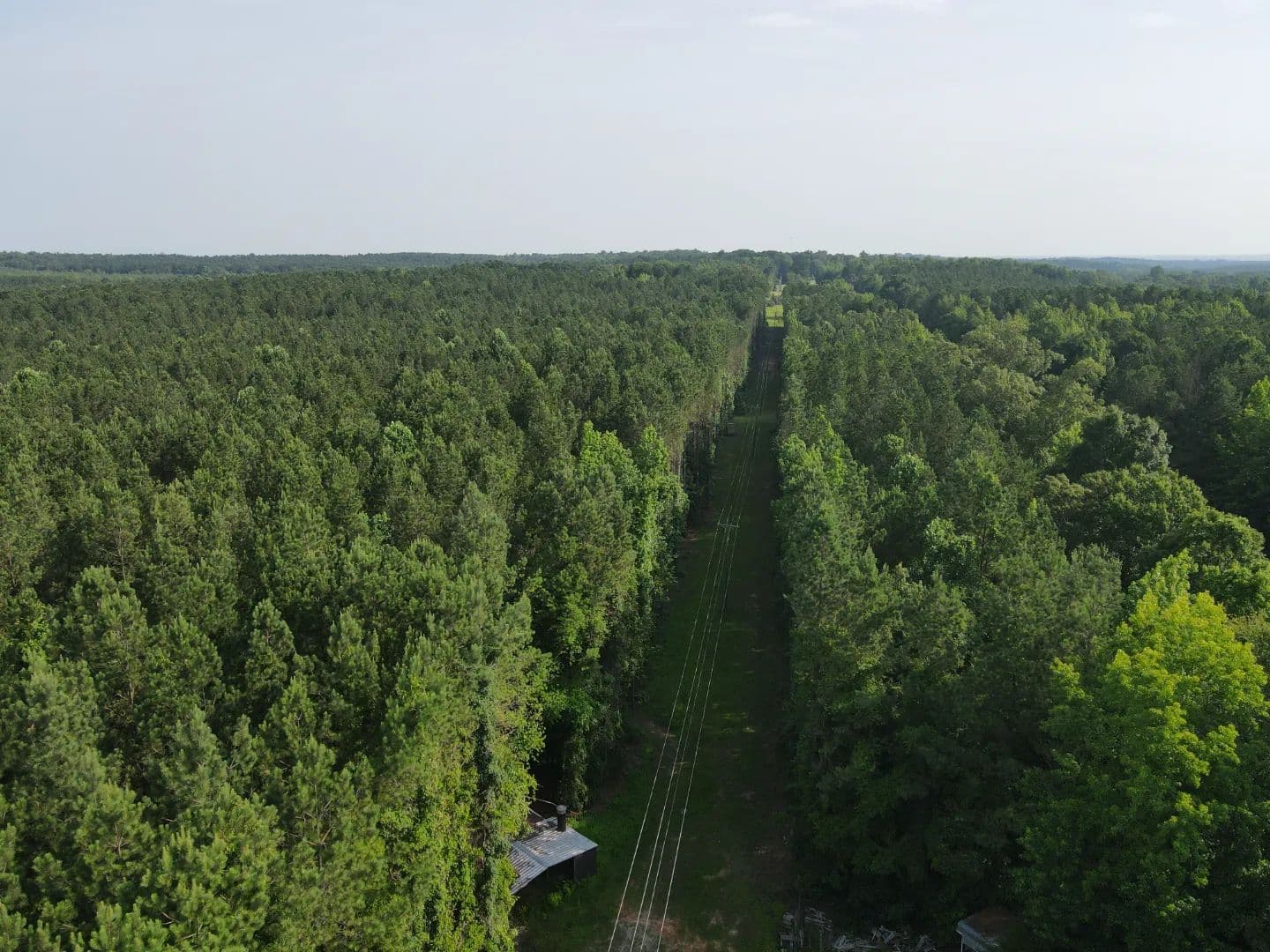 250 Acres in Choctaw County, MS  - Ackerman, Mississippi, 39735