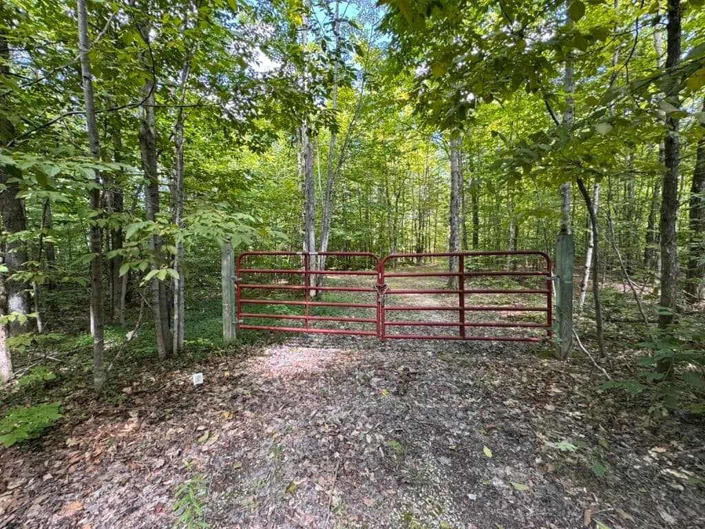 Vacant Land in Wolverine - Wolverine, Michigan, 49799