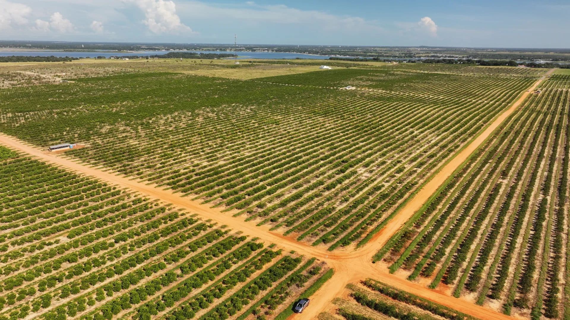 Auction - 584 Acres in Polk County - Frostproof, Florida, 33827