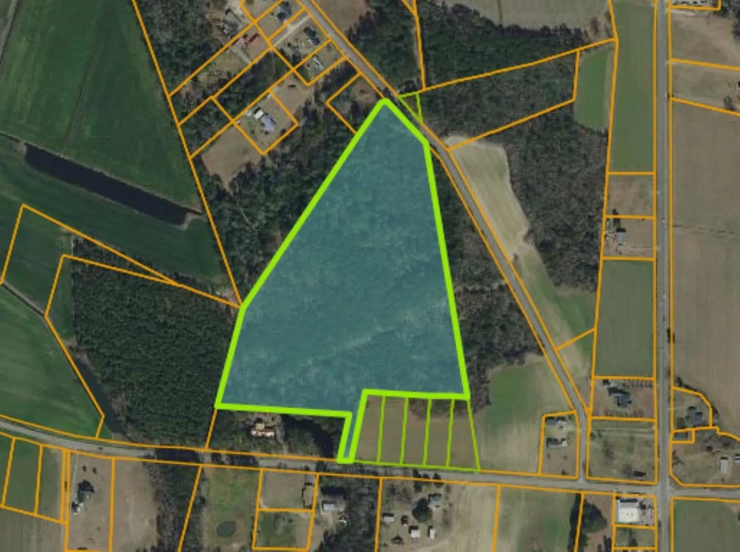 Vacant Land in Galivants Ferry - Galivants Ferry, South Carolina, 29544