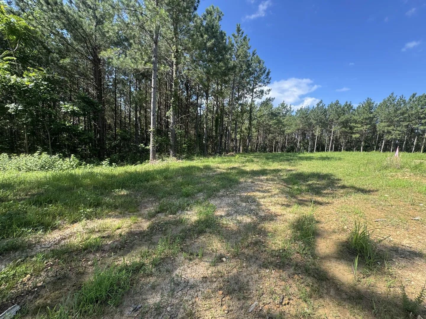 Vacant Land in Dover - Dover, Tennessee, 37058