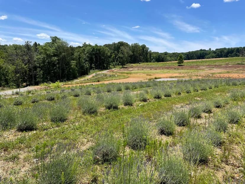 Property from 353 Co Rd 170 - KW