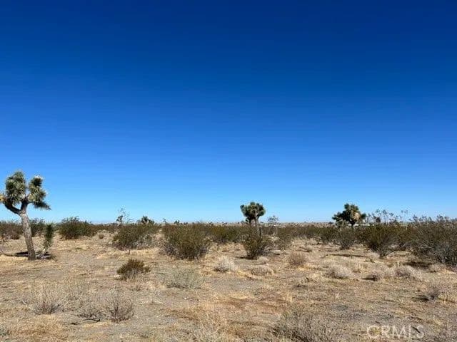 Vacant Land in Phelan - Phelan, California, 92371