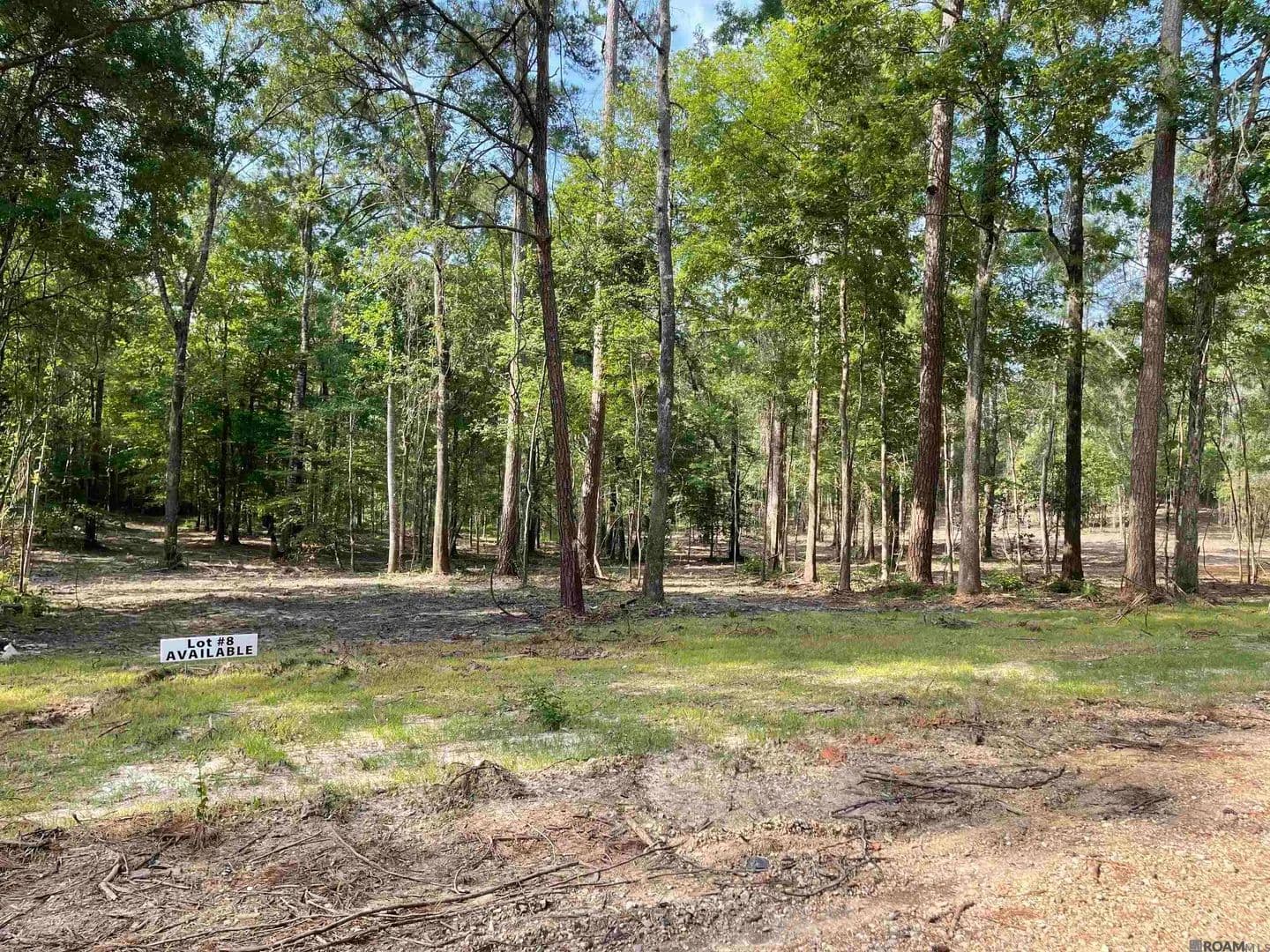 6.92 Acres of Land for Sale in Clinton, Louisiana - Clinton, Louisiana, 70722