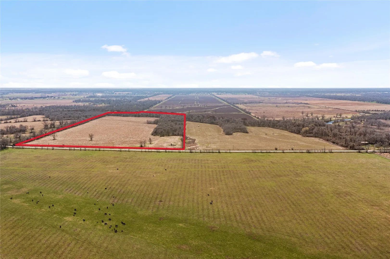 Property from Tract 12 Cr 117 - KW - Hungerford, Texas, 77448