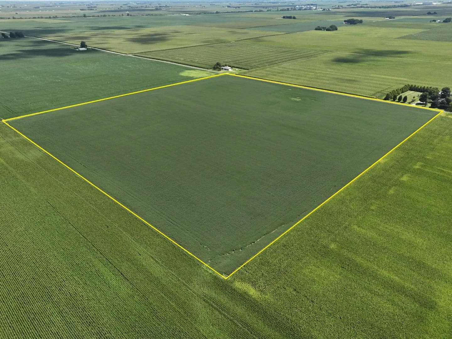 The Hoch Farmland Auction | 38.819 +/- Surveyed Acres | Coles County, IL - Humboldt, Illinois, 61931