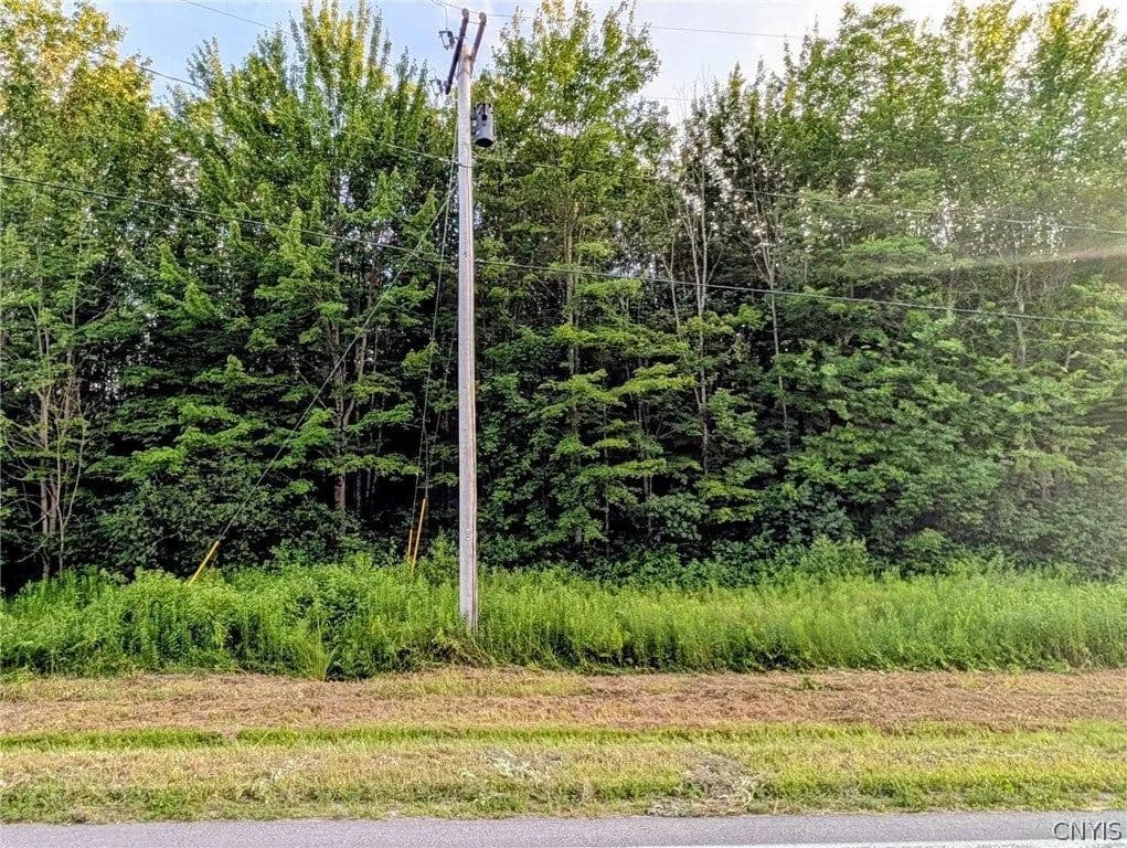 Lots & Land-Other in Pulaski - Pulaski, New York, 13142