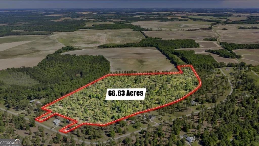 66.63 Acres of Land for Sale in Cordele, Georgia - Cordele, Georgia, 31015