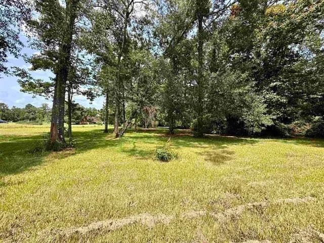 Vacant Land (0-10 Acres) in Vidor - Vidor, Texas, 77662