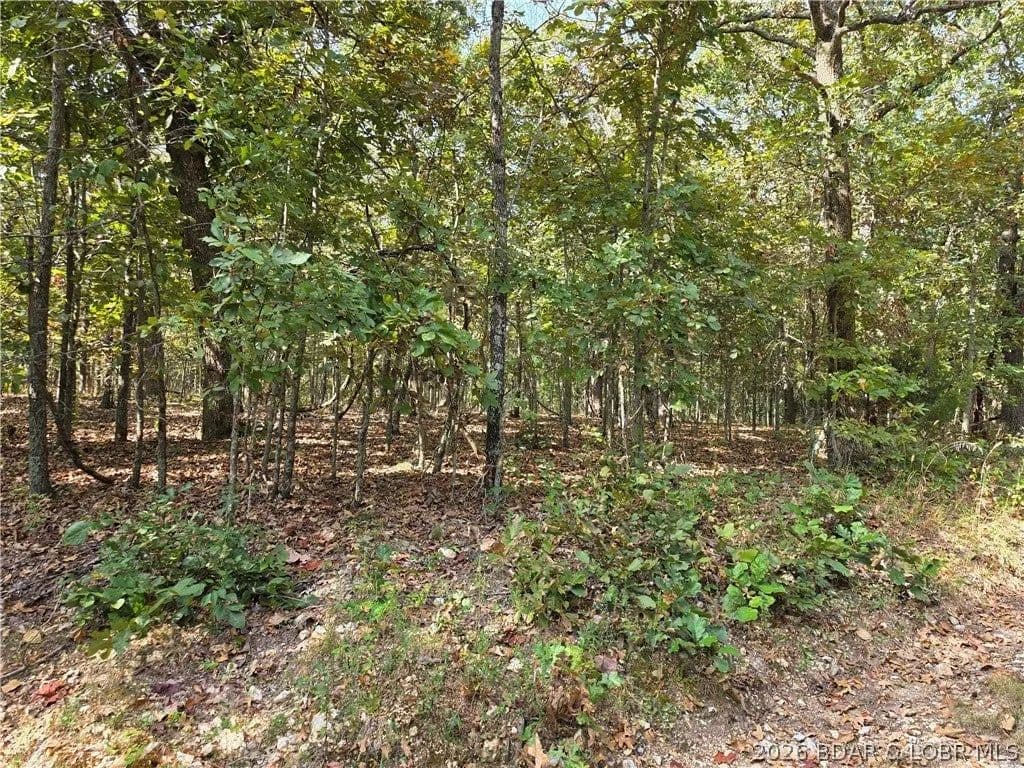 Lots & Land-Other in Edwards - Edwards, Missouri, 65326