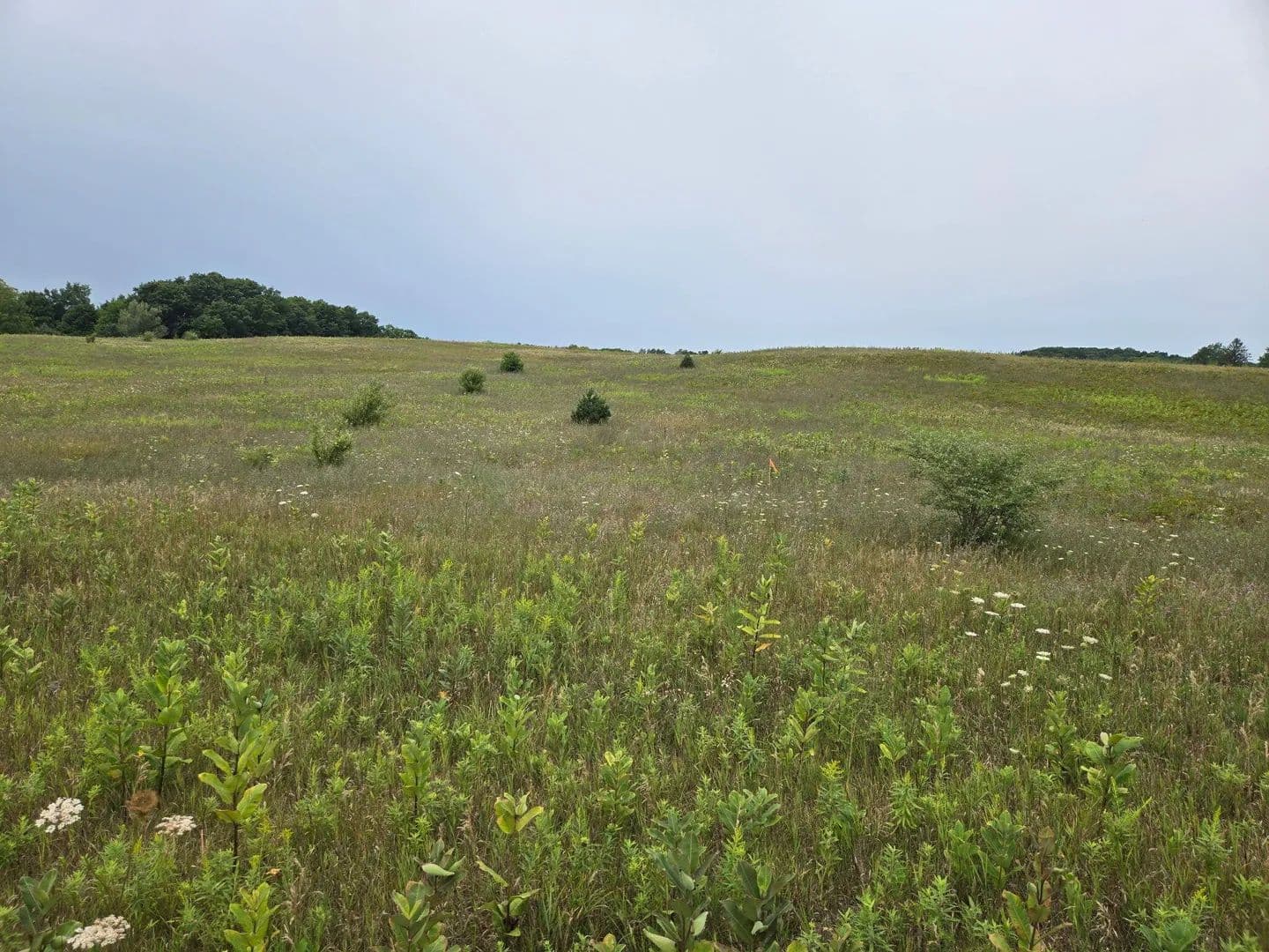 Vacant Land in Hart - Hart, Michigan, 49420