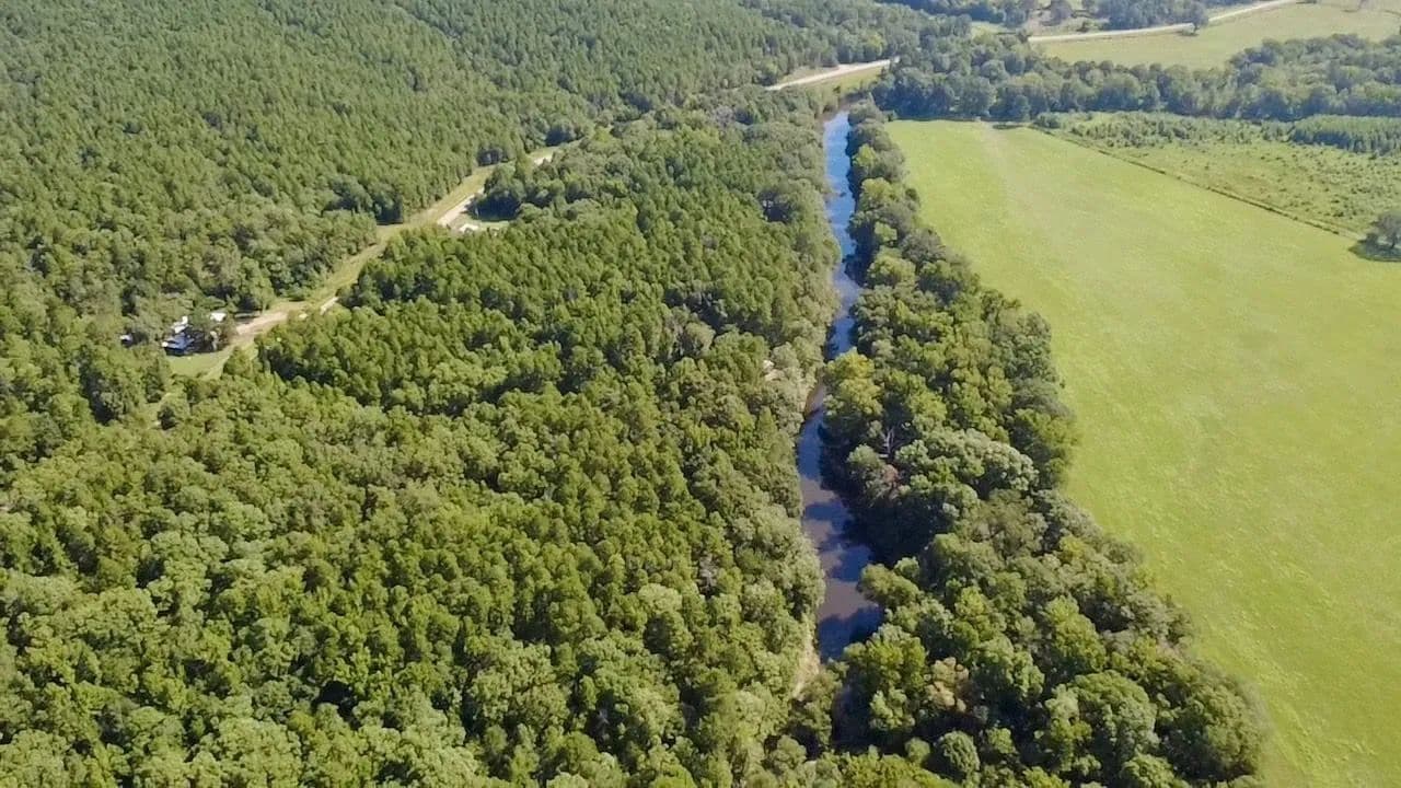 Fourche LaFave River 2.4 - Plainview, Arkansas, 72857