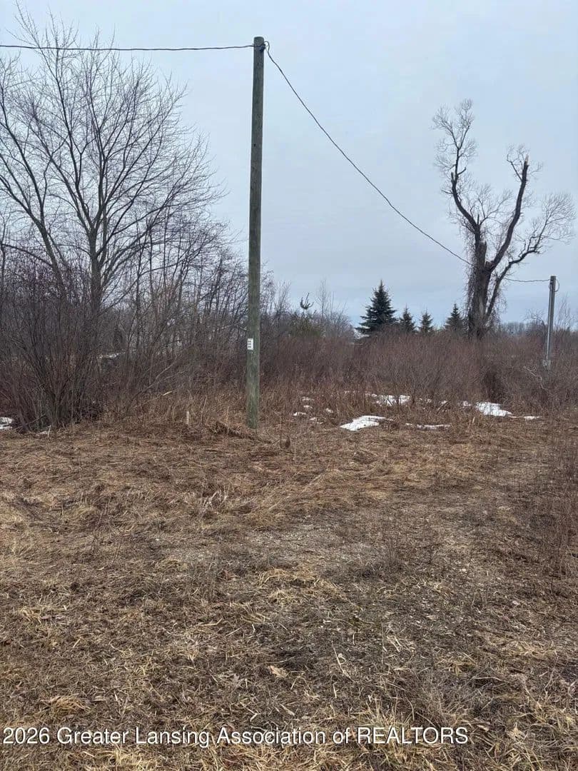 Vacant Land in Evart - Evart, Michigan, 49631