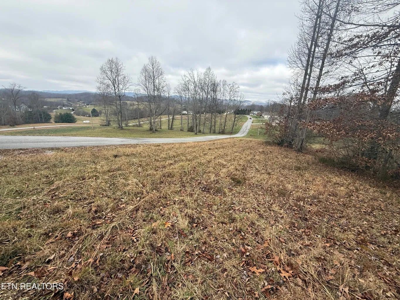 Land -Single Family Acreage in Jonesville - Jonesville, Virginia, 24263