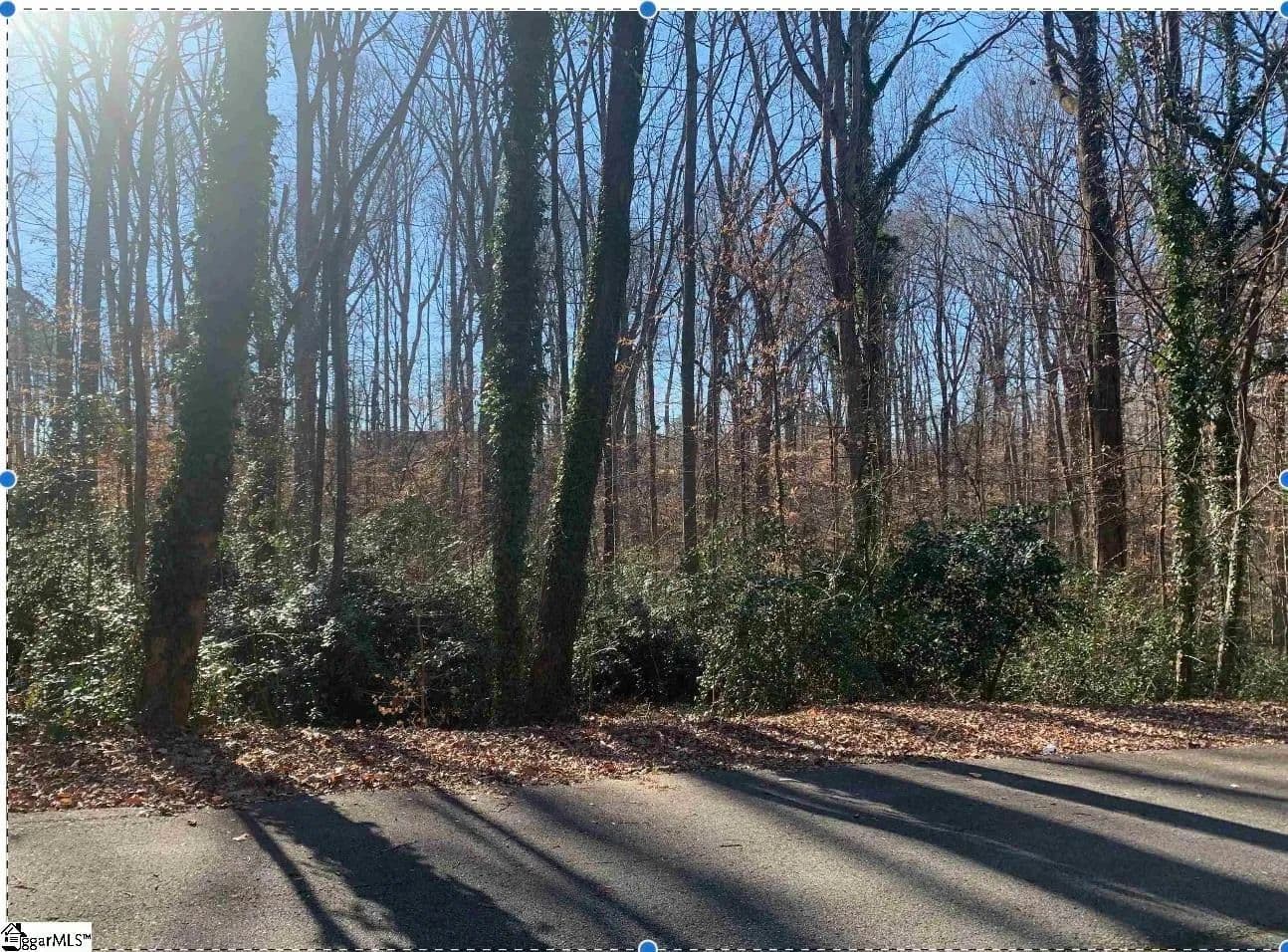 Vacant Land in Gaffney - Gaffney, South Carolina, 29340