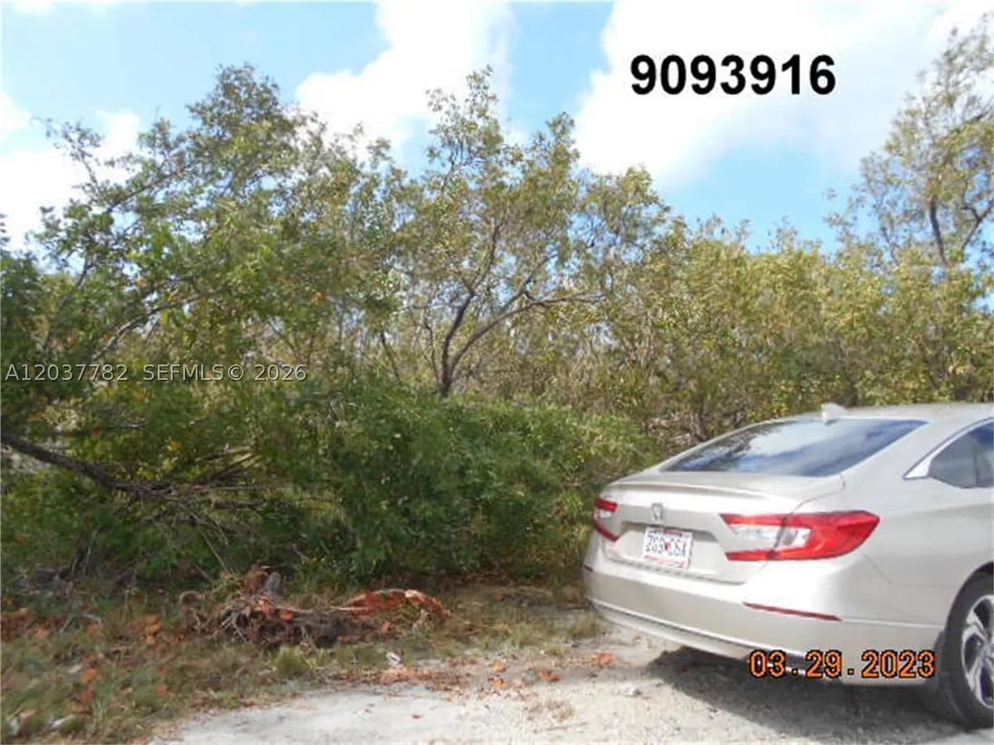 0.18 Acres of Land for Sale in Big Pine, FL - Big Pine, Florida, 33042