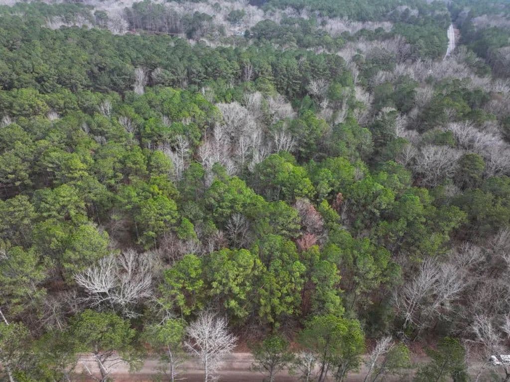Vacant Land in Hamilton - Hamilton, Georgia, 31811