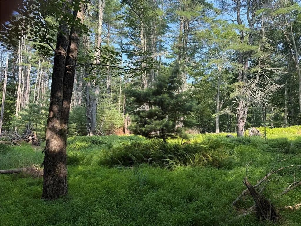 Vacant Land in Lackawaxen - Lackawaxen, Pennsylvania, 18435
