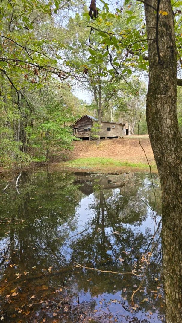 111 Acres with a Cabin in Holmes County, MS