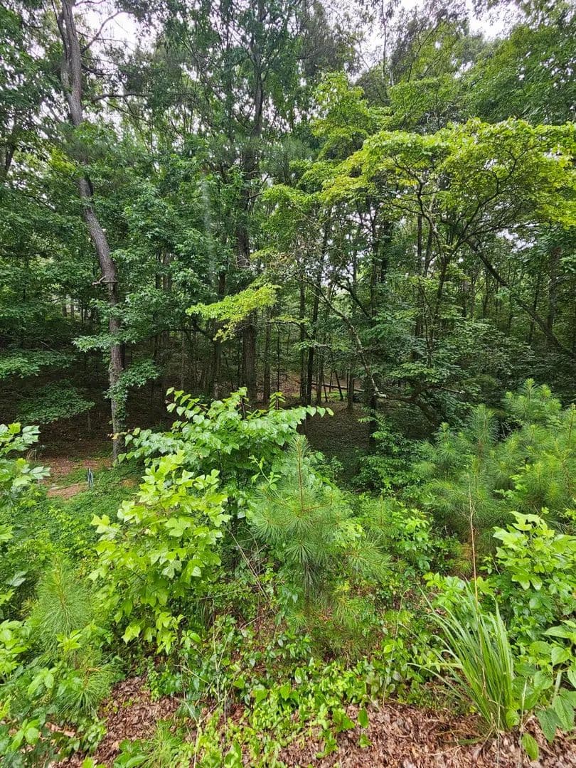 Property from 0 Pineywood Drive - KW