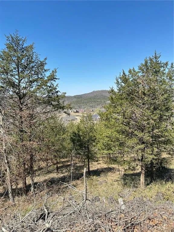 Lots & Land-Other in Holiday Island