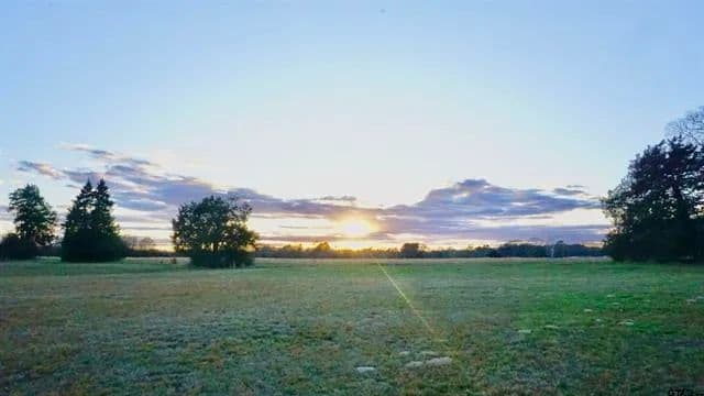 Land -Single Family Acreage in Quitman - Quitman, Texas, 75783