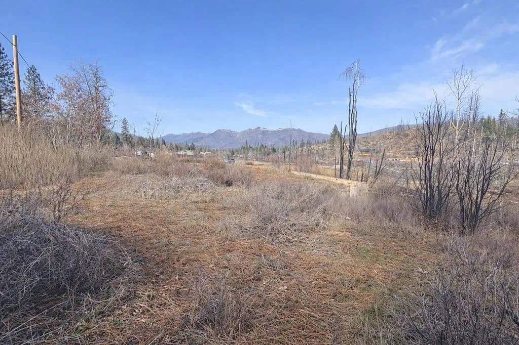 Vacant Land in Greenville - Greenville, California, 95947