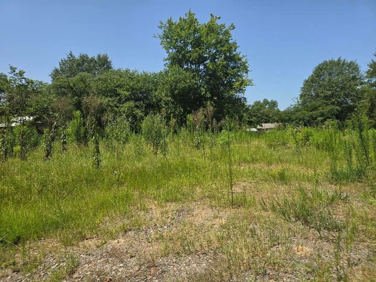 Lots & Land-Other in Linden - Linden, Texas, 75563