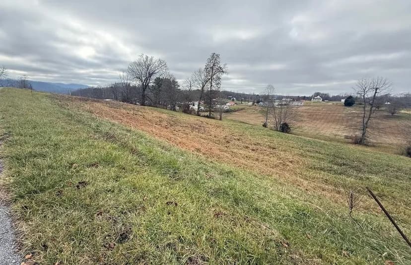 Land -Single Family Acreage in Jonesville