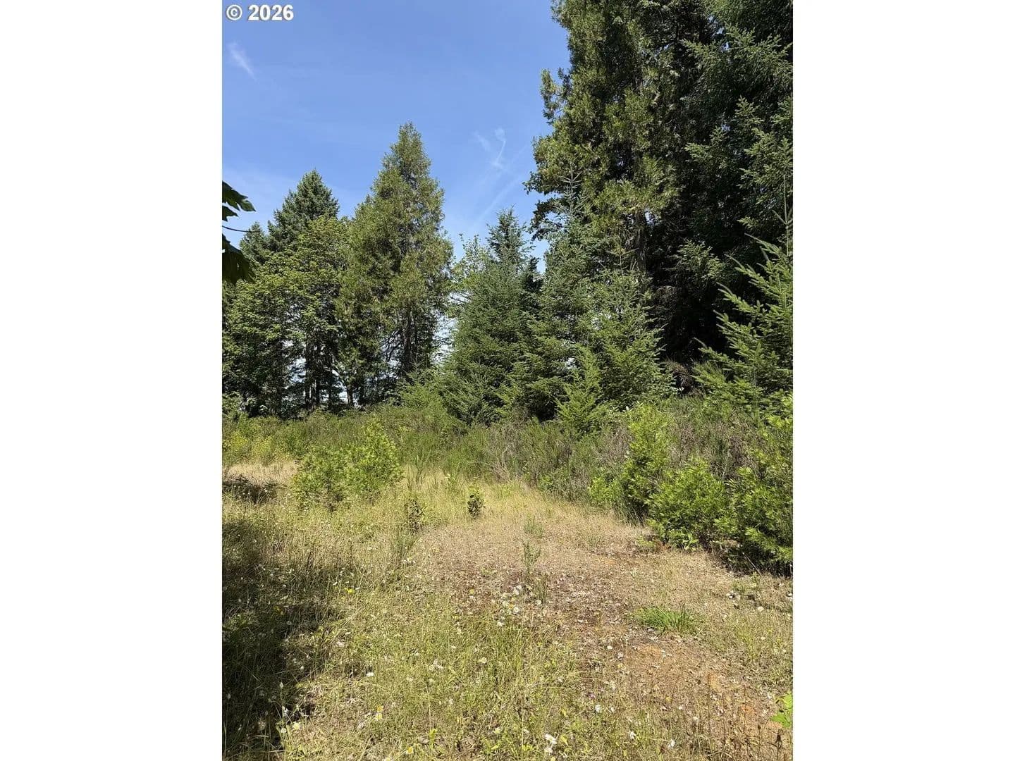 Lots & Land-Other in Drain - Drain, Oregon, 97435