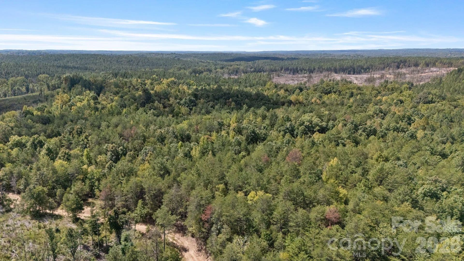 98.23 Acres of Land for Sale in York, SC - York, South Carolina, 29745