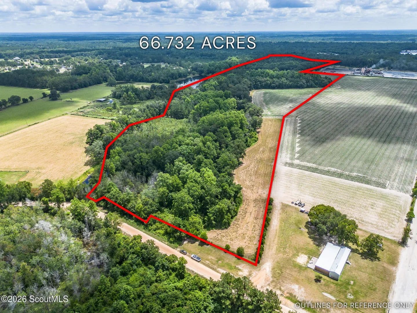 66.73 Acres of Land for Sale in Odum, GA - Odum, Georgia, 31555