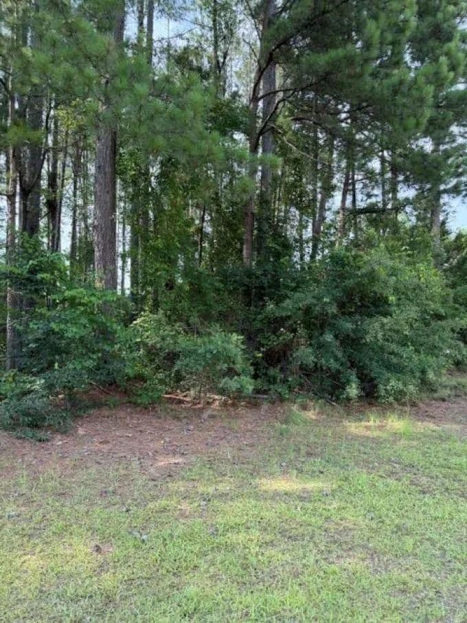 Vacant Land in Sumter - Sumter, South Carolina, 29150
