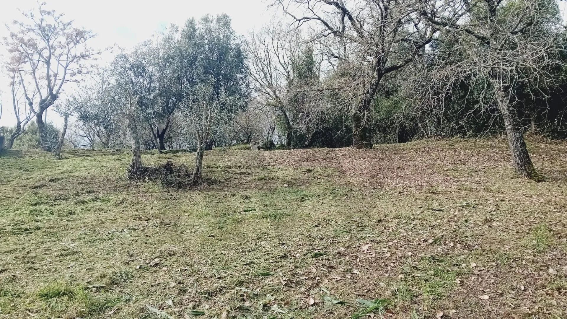 816 Acres of Land for Sale in Soure, Soure - land for sale