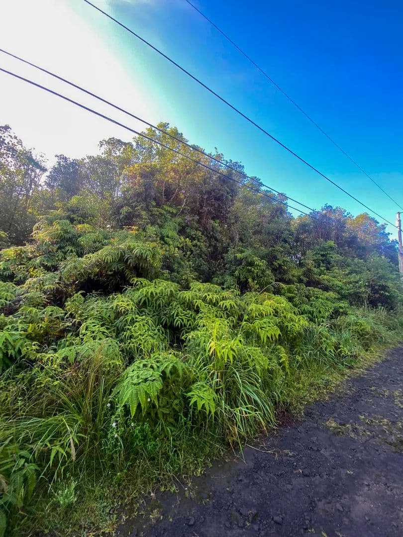 Vacant Land in Mountain View - Mountain View, Hawaii, 96771