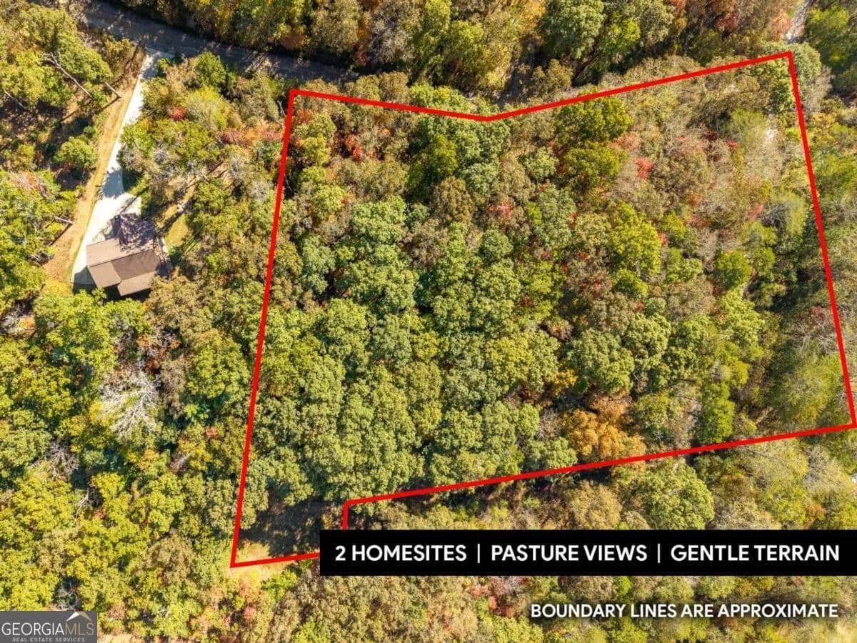 3.14 Acres of Land for Sale in Mineral Bluff, GA - Mineral Bluff, Georgia, 30559