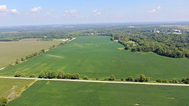 Wilfong - Rush County - Carthage, Indiana, 46115