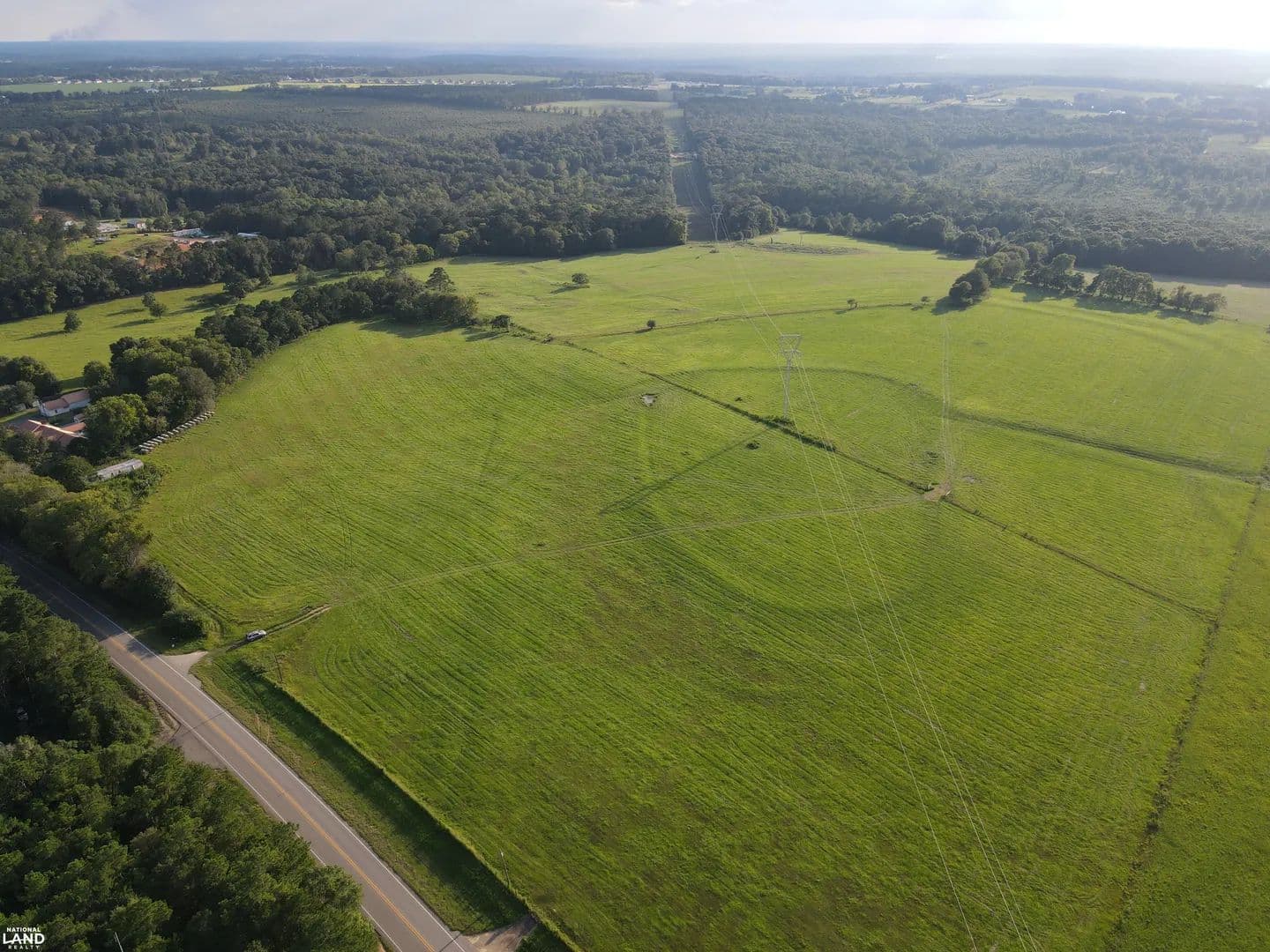 State Hwy 123 Homesite/Cattle Farm - Newton, Alabama, 36352