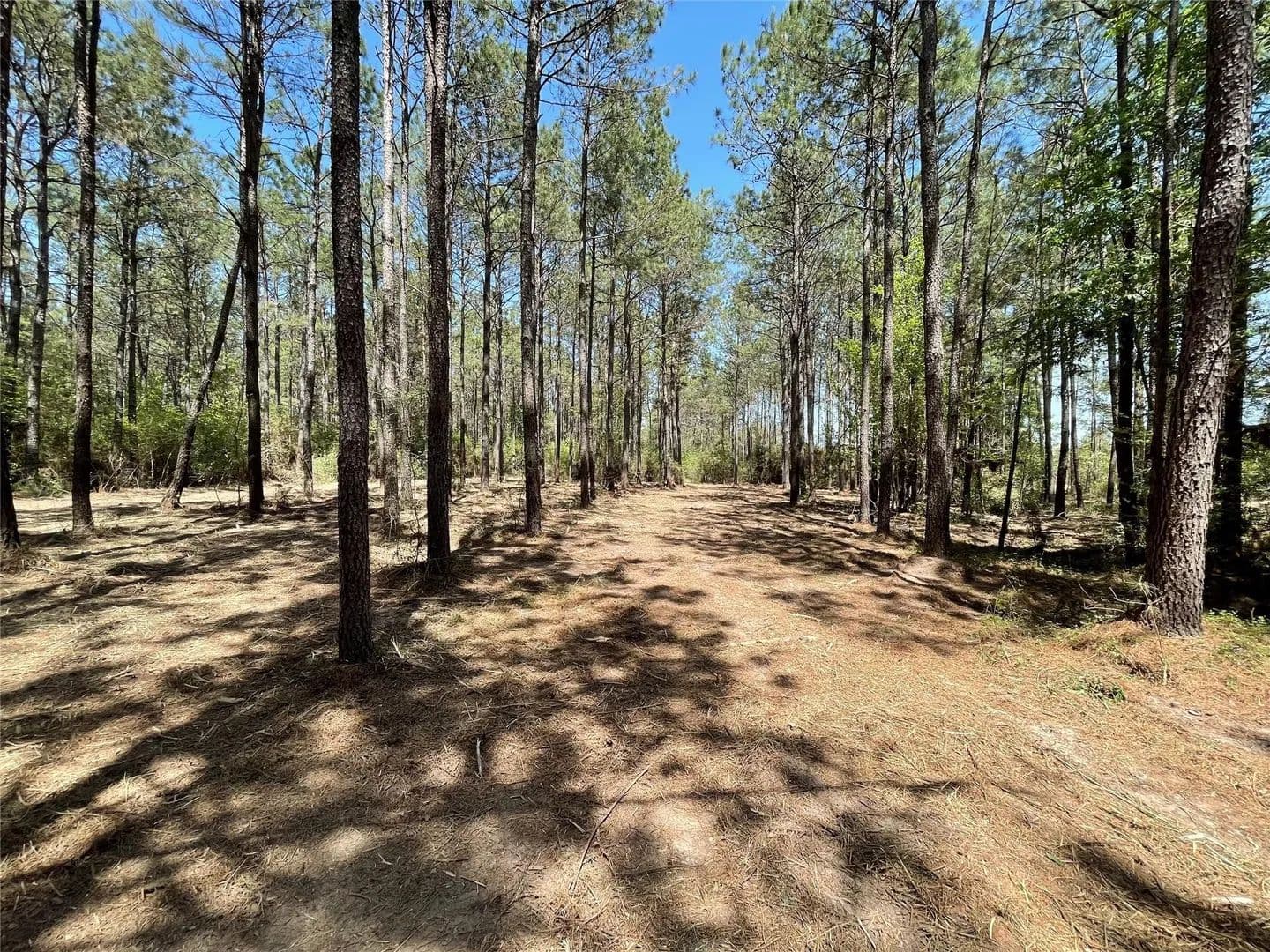 Vacant Land in Willis - Willis, Texas, 77378