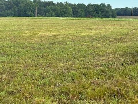10.97 Acres of Land for Sale in Ethridge, Tennessee - Ethridge, Tennessee, 38456