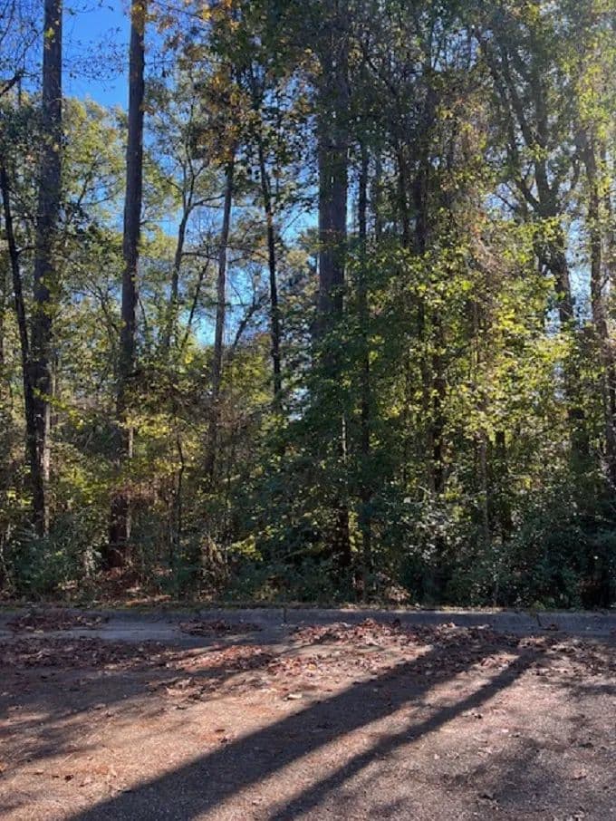 Land -Agricultural (Not Zoned) in Camden