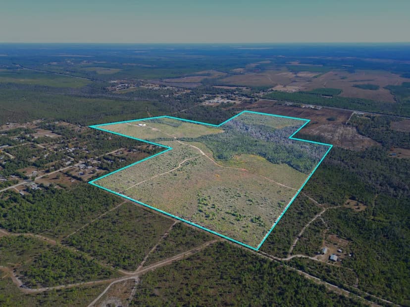 202 Acres in Northwest Florida Timber, Hunting & Coastal Access