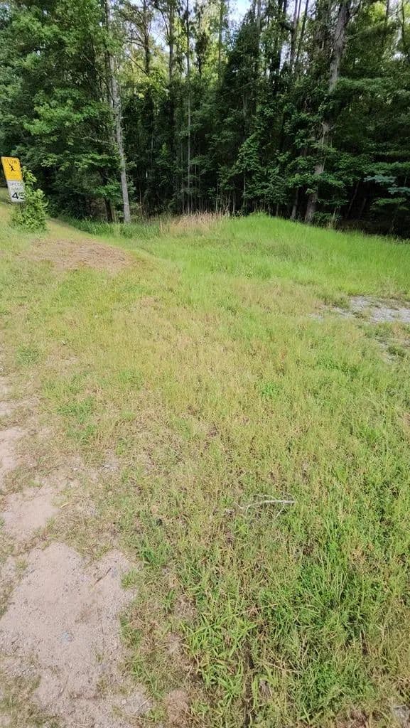 Vacant Land in Hamilton - Hamilton, Georgia, 31811