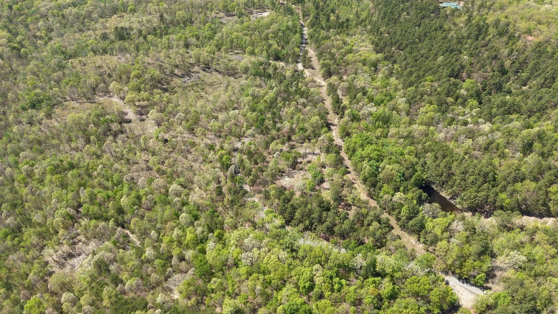 13.67 Acres in Polk County, AR  - Mena, Arkansas, 71937