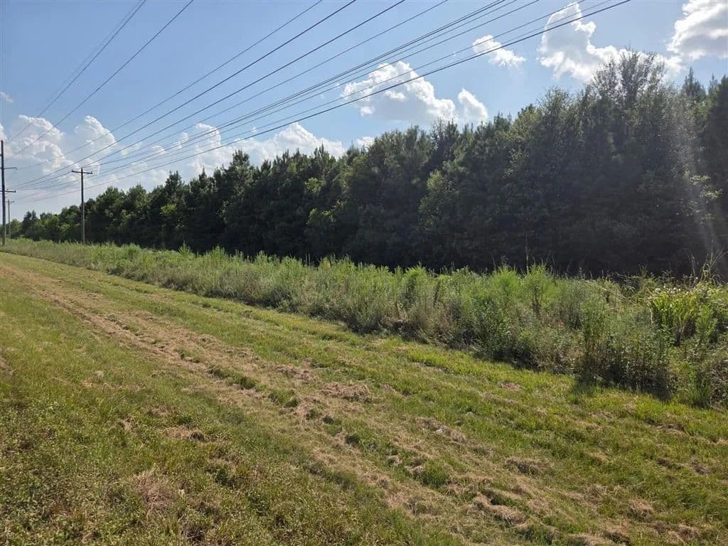 Vacant Land in Ragley - Ragley, Louisiana, 70657