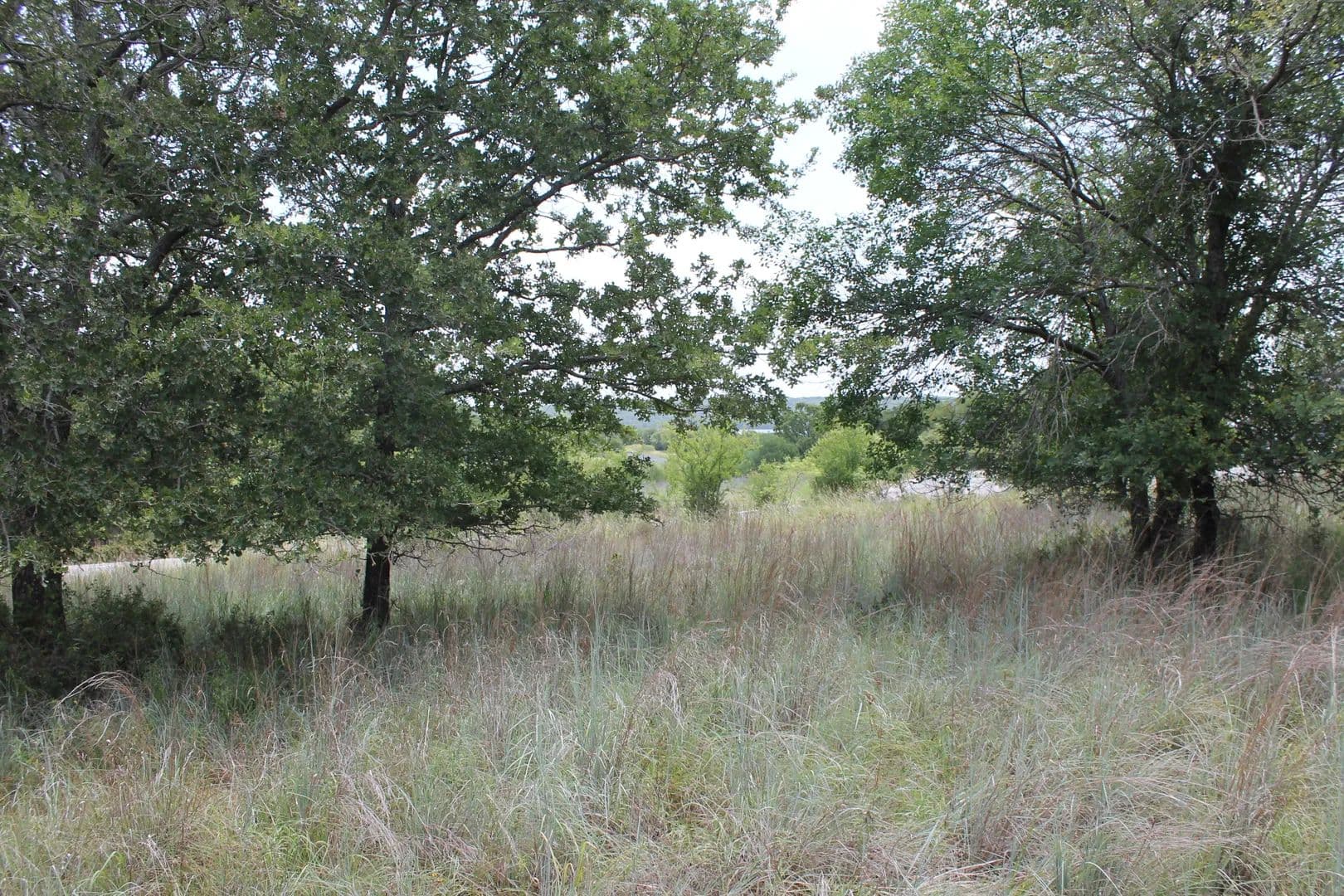 Vacant Land in Chico - Chico, Texas, 76431
