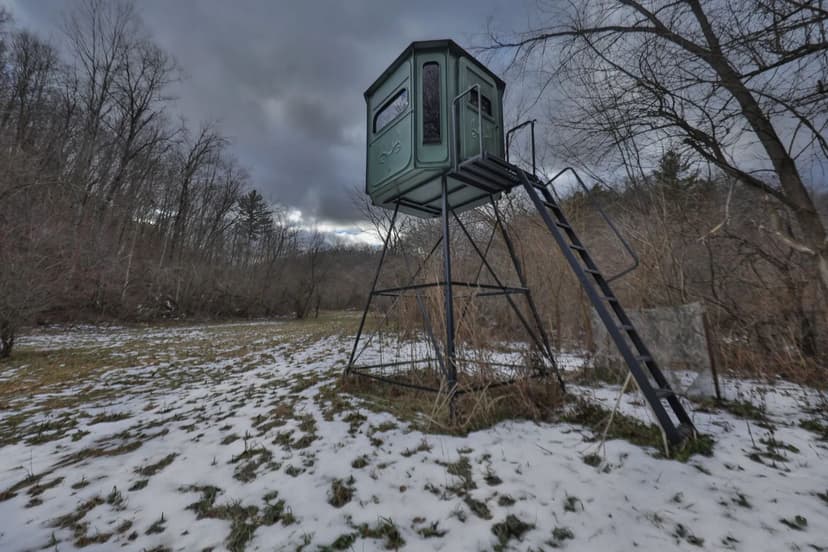 Prime Crawford County Hunting Land with Electric & Legendary Big Buck Potential