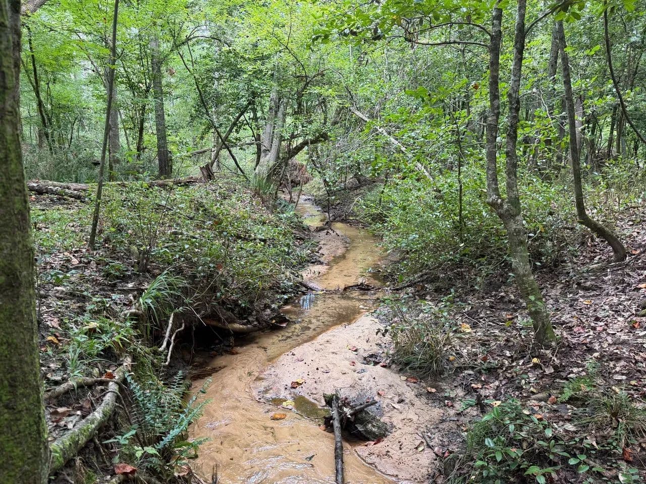 Watkins Pond Road Tract 1 - Waynesboro, Georgia, 30830